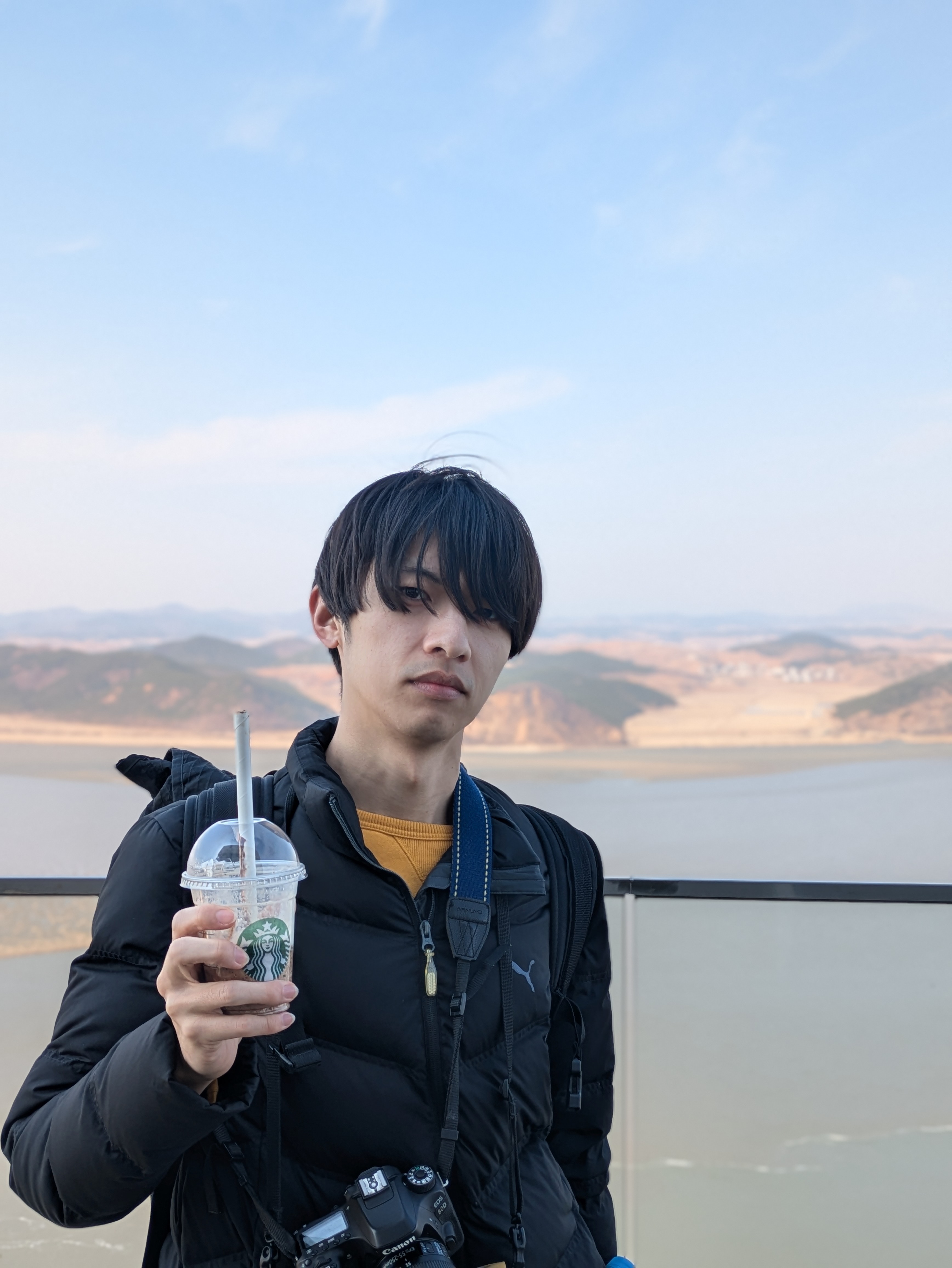 北朝鮮の背景と藤島葵